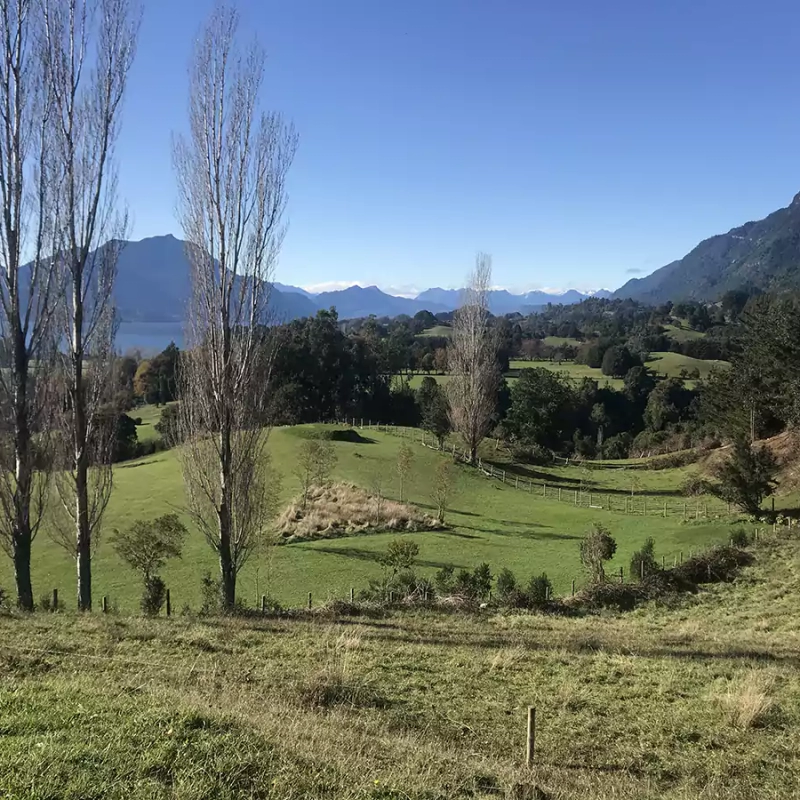 propiedades-terrenos-sur-de-chile